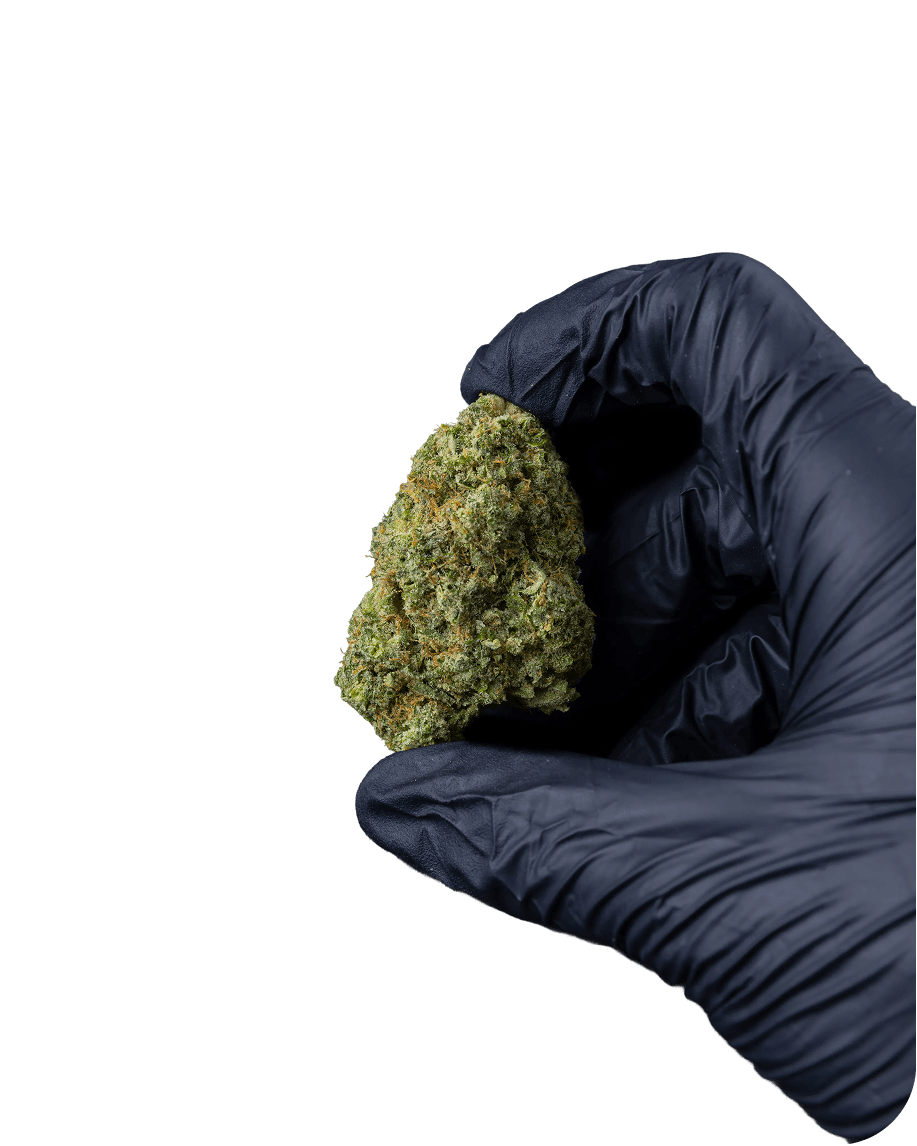 GLOBAL-GRADE QUALITY